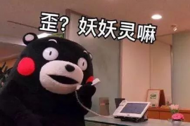 宜春贷款清欠服务